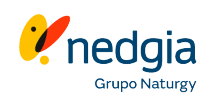 Nedgia
