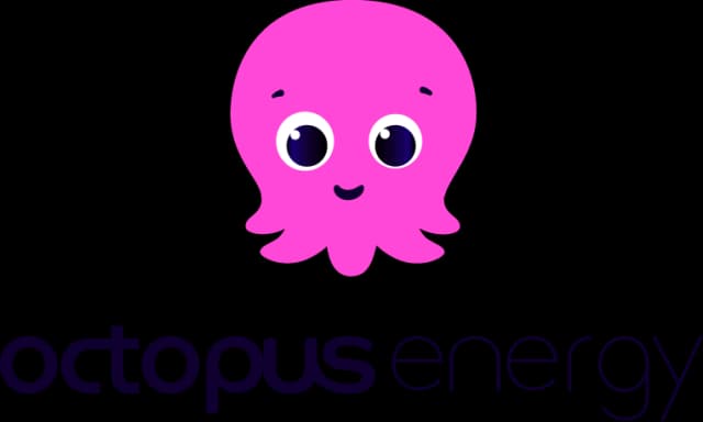 octopus luz y gas