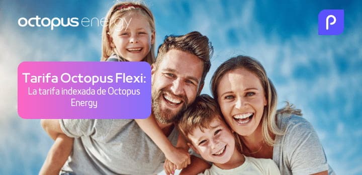 Tarifa Octopus Flexi: ¿Cómo funciona esta tarifa indexada?