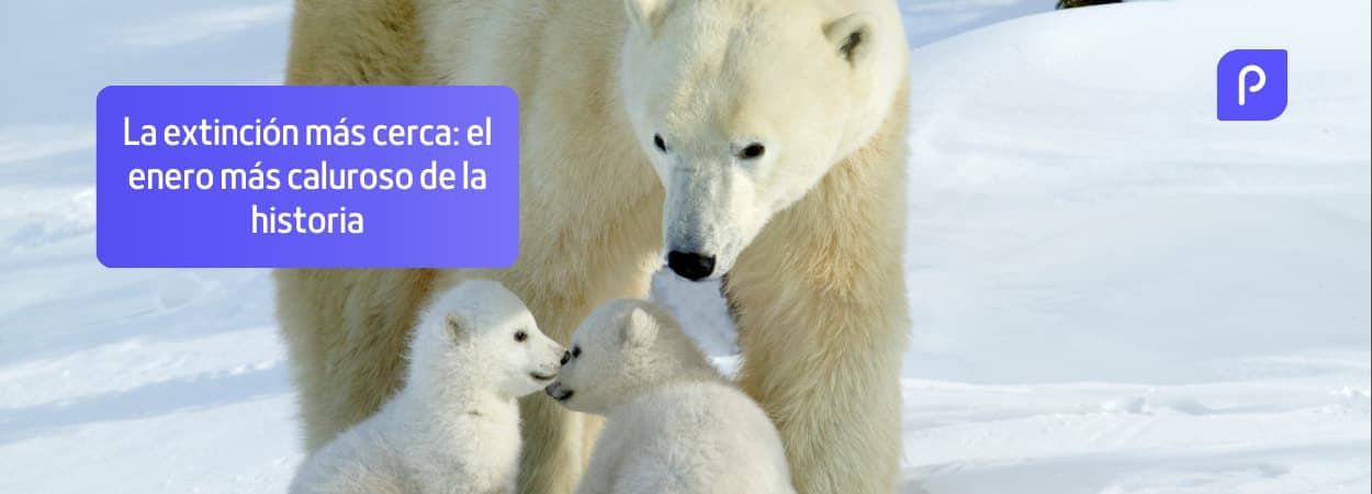 La extinción más cerca: el enero más caluroso de la historia