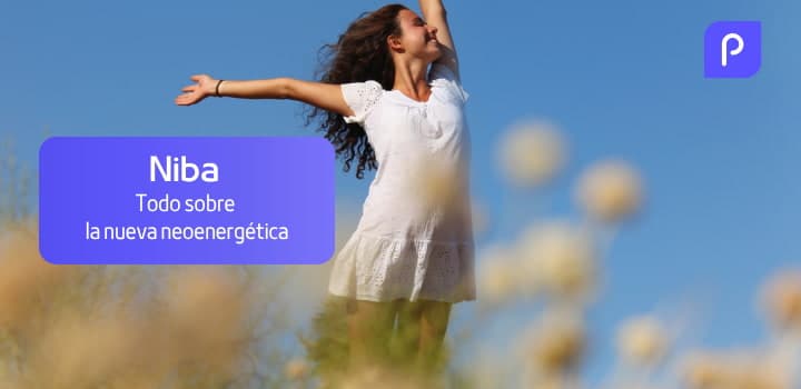 Niba: Todo sobre la nueva neoenergética