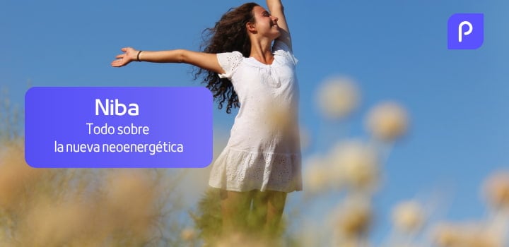 Niba: Todo sobre la nueva neoenergética
