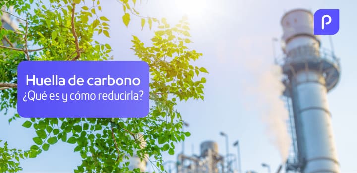 Guía completa para entender y reducir la huella de carbono
