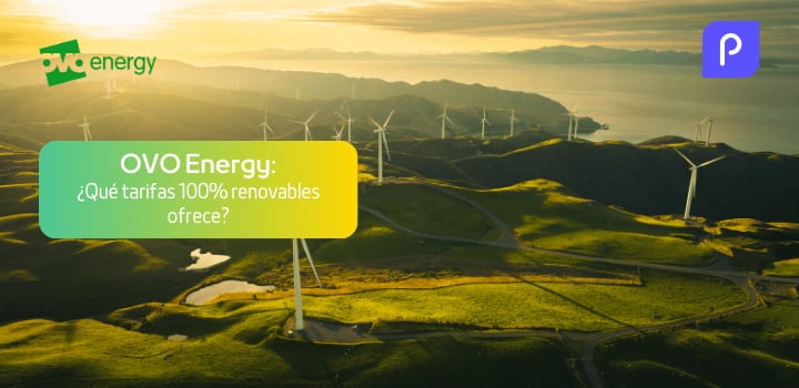 Ovo Energy: Tarifas, Opiniones y Atención al Cliente
