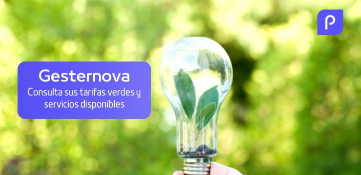 Contigo Energía (ex Gesternova): tarifas verdes y servicios disponibles