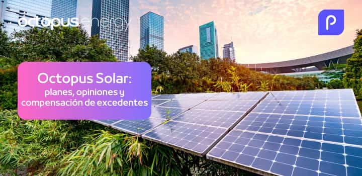 Octopus Solar: planes, opiniones y compensación de excedentes