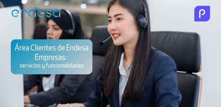 Área Clientes de Endesa Empresas: servicios y funcionalidades