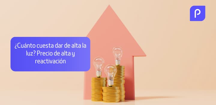 Dar de alta la luz: precio, plazos y condiciones