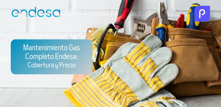 Mantenimiento Gas Completo Endesa: Cobertura y Precio