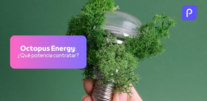 ¿Qué potencia contratar con Octopus Energy? Precios y recomendaciones