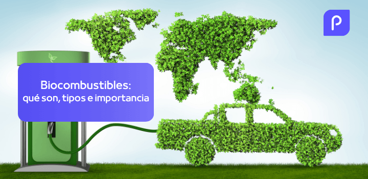 ¿Qué son los biocombustibles? Tipos e importancia contra el cambio climático