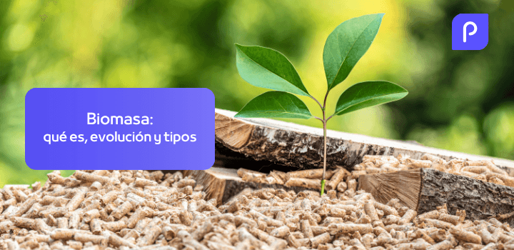 ¿Qué es la biomasa? Evolución, tipos y análisis