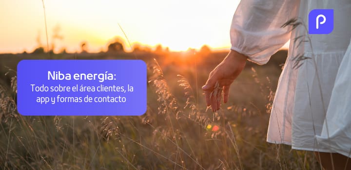 Niba Área clientes: ¿Cómo acceder y descargarse la App? Teléfono y opiniones