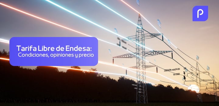 Todo sobre la Tarifa Libre de Endesa: opiniones y características