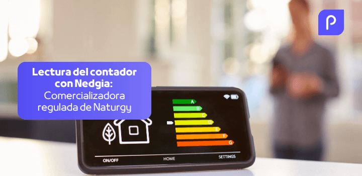 Lectura del contador con Nedgia: Comercializadora regulada de Naturgy