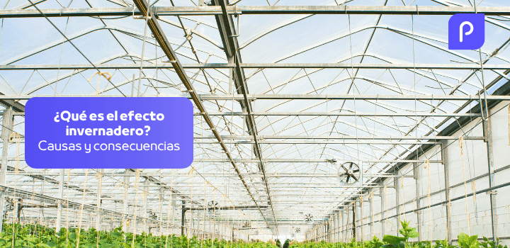 ¿Qué es el efecto invernadero? Causas y consecuencias